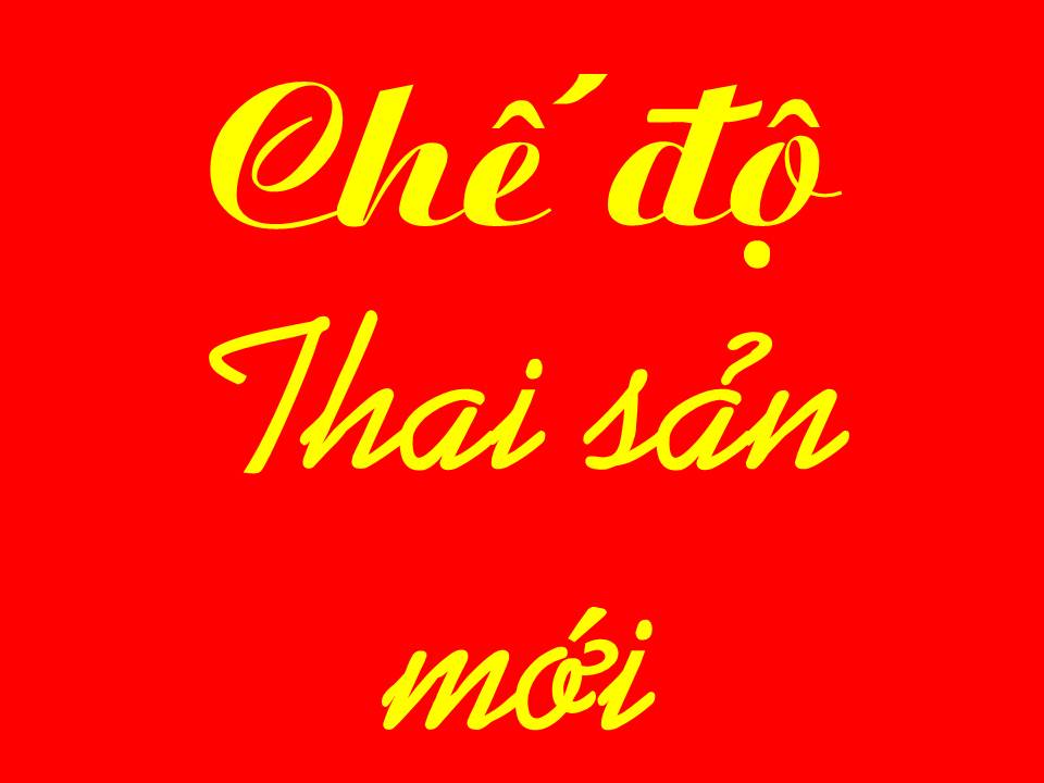 Chế độ ăn thai sản 3 tháng đầu
